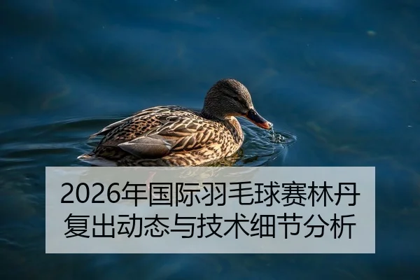 2026年国际羽毛球赛林丹复出动态与技术细节分析