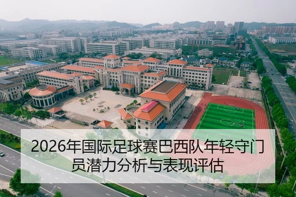 2026年国际足球赛巴西队年轻守门员潜力分析与表现评估