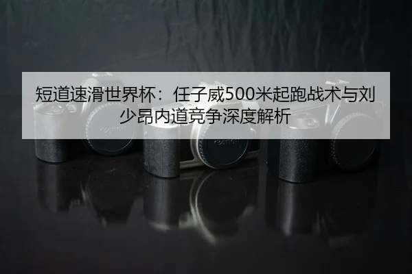 duan-dao-su-hua-shi-jie-bei-ren-zi-wei-mi-qi-pao-zhan-shu-yu-liu-shao-ang-nei-dao-jing-zheng-shen-du-jie-xi-2-570.jpg