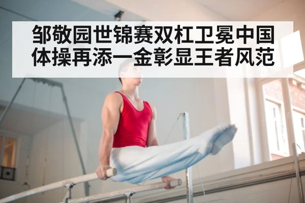 邹敬园世锦赛双杠卫冕中国体操再添一金彰显王者风范